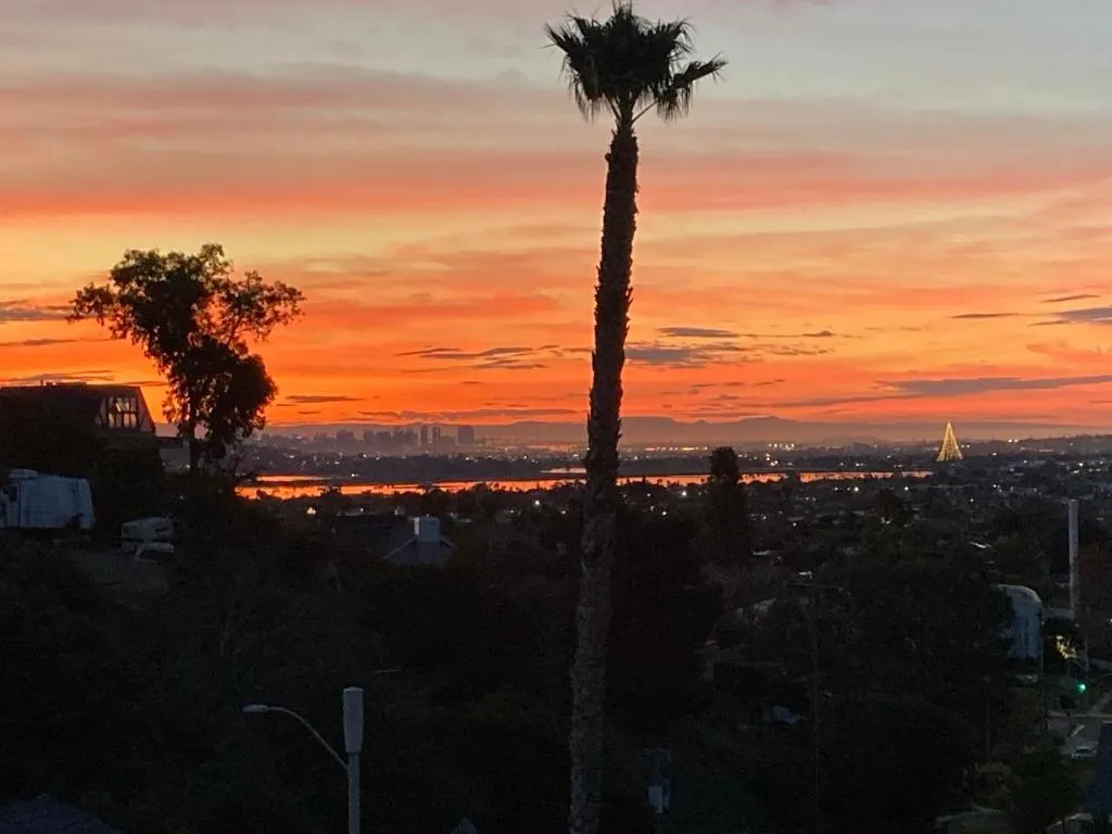 Image of Smashing Newly-Built with Ocean/Bay/City Views!