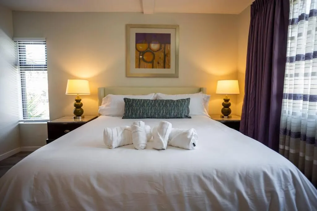 Image 1 of Spacious 500 sqft Studio with Balboa Park View