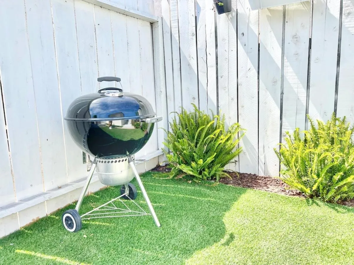 Image 4 of Tranquil & Bright – Normal Heights Delight