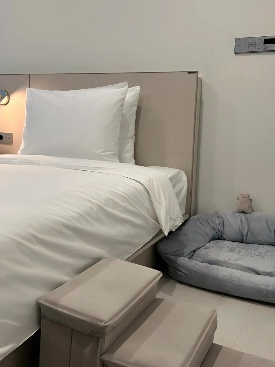 Image 4 of Hotel The Botanik Sewoon Myeongdong