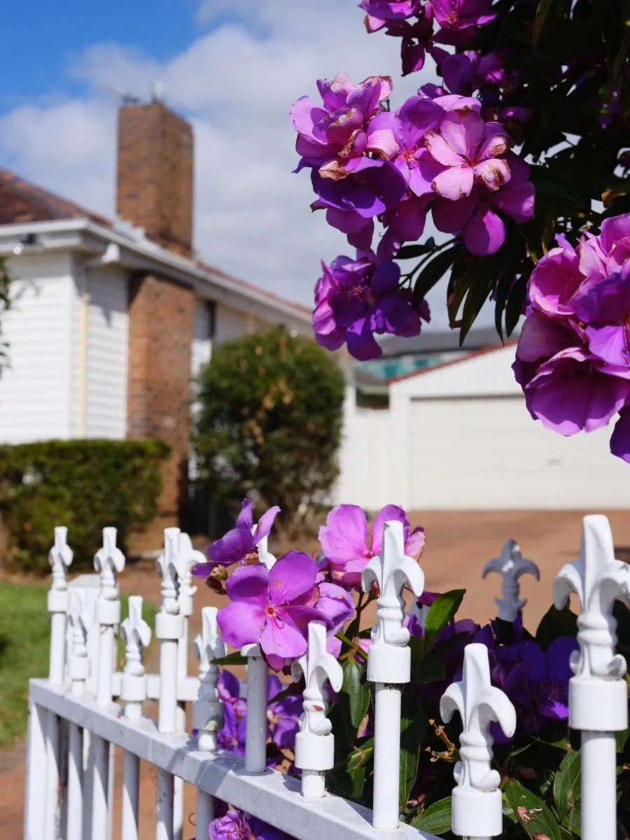 Image 3 of 3 bedroom house with Wi-Fi, Netflix, AC, Timber Floor, Well-fenced