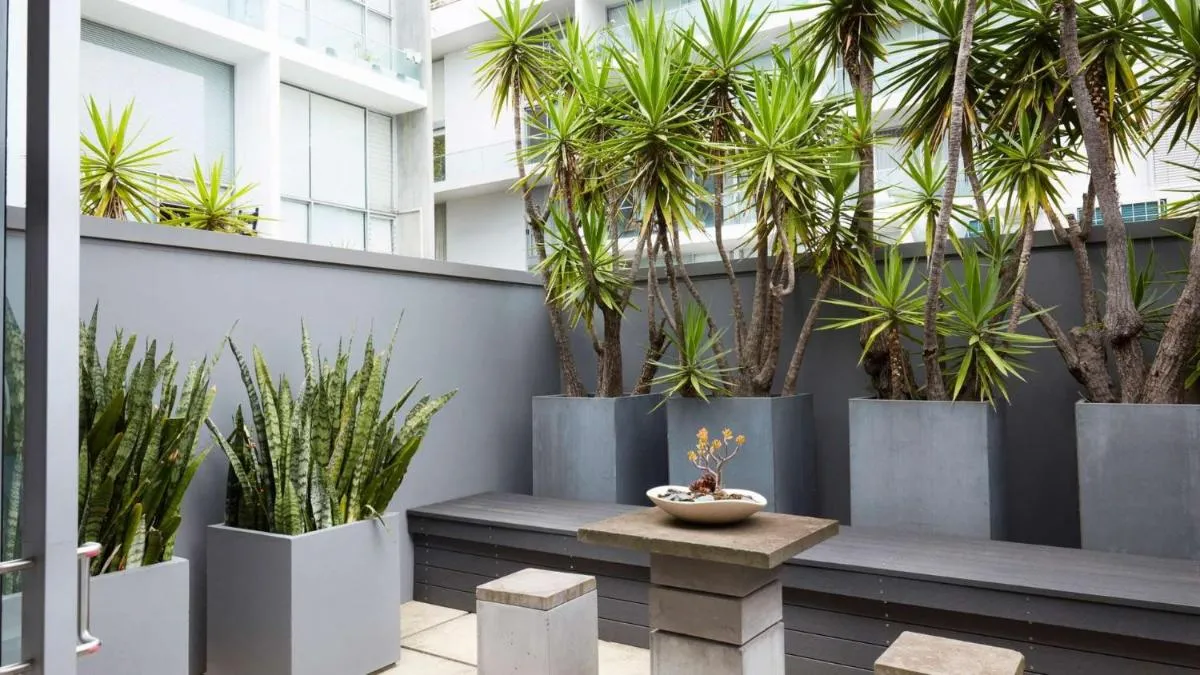 Image 4 of Apartment One