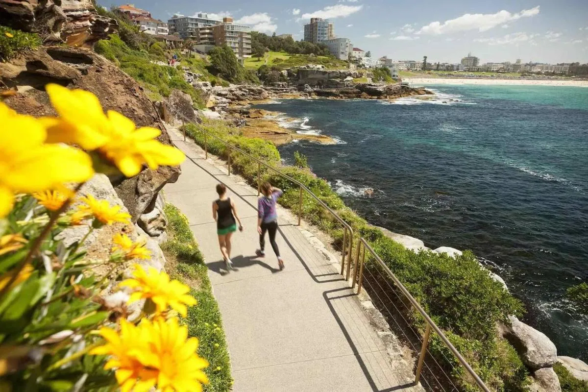 Image 5 of Bondi Studio With Beach Views From Rooftop Pool