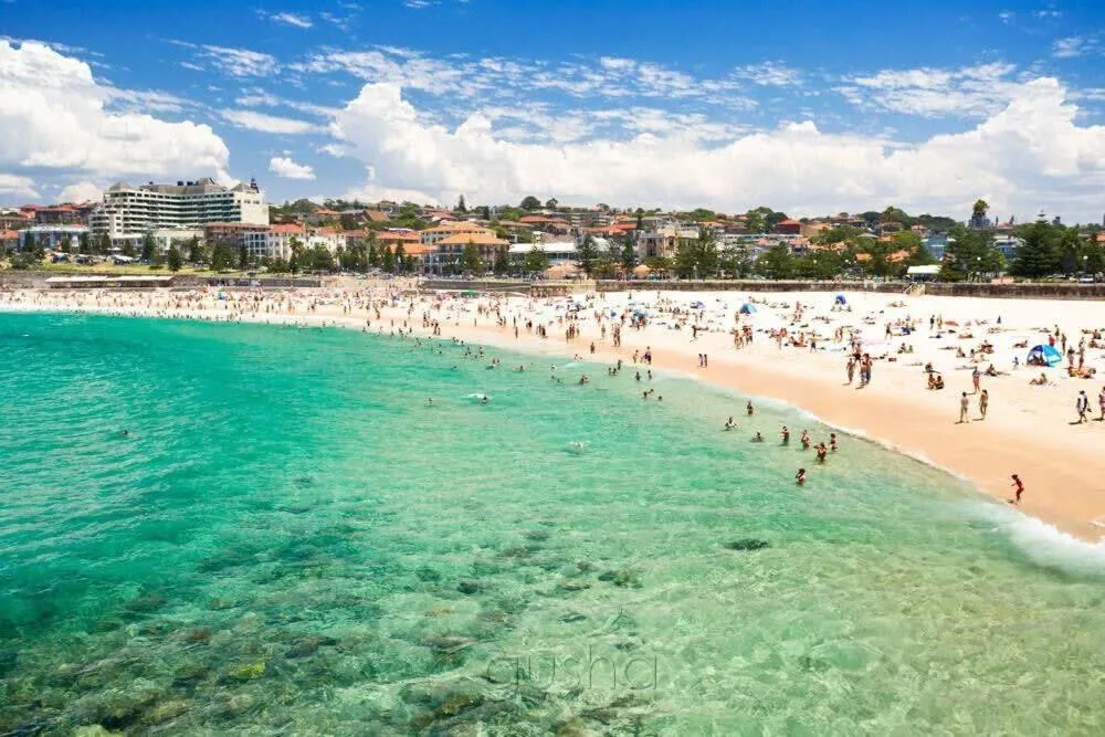 Image 4 of Coogee Riviera