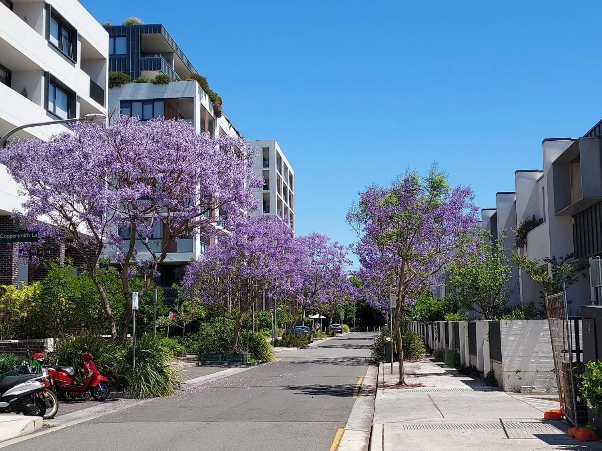 Image 5 of Erskineville