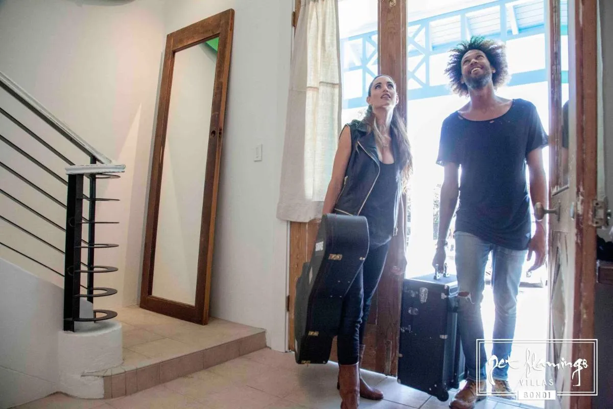 Image 6 of Jet Flamingo