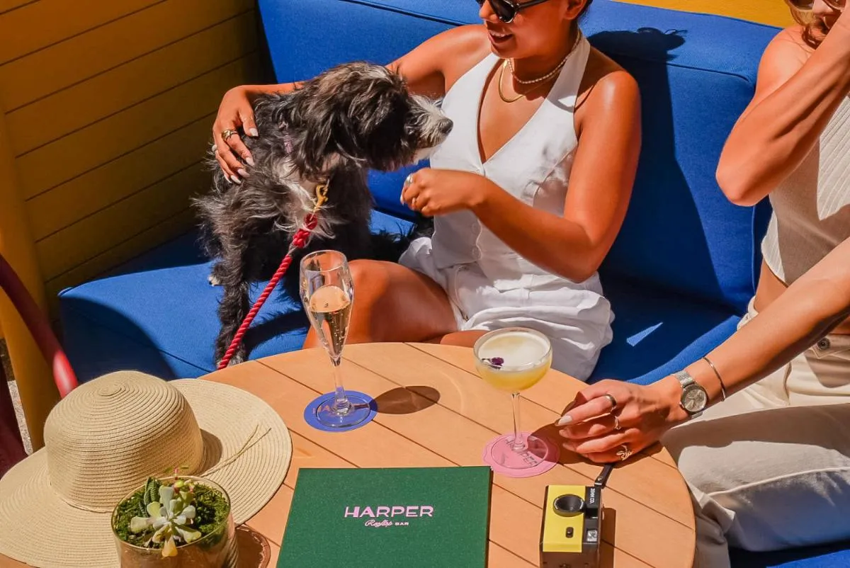 Image 3 of Kimpton Margot Sydney, an IHG Hotel