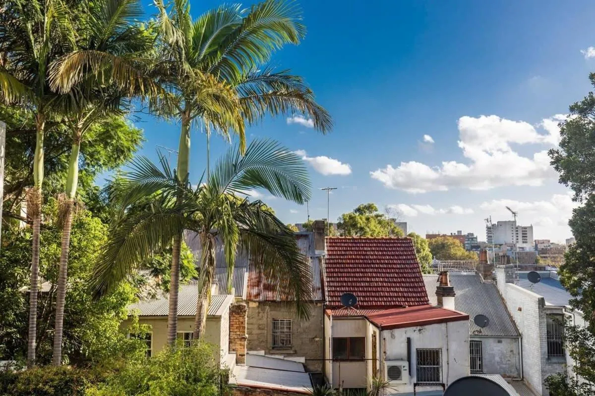 Image 5 of Modern Sydney Surry Hills Century Cottage