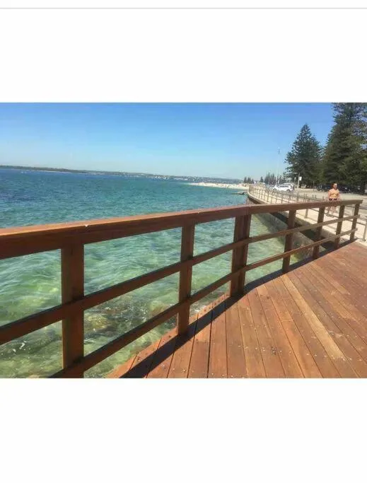 Image 3 of Stay and Sea!