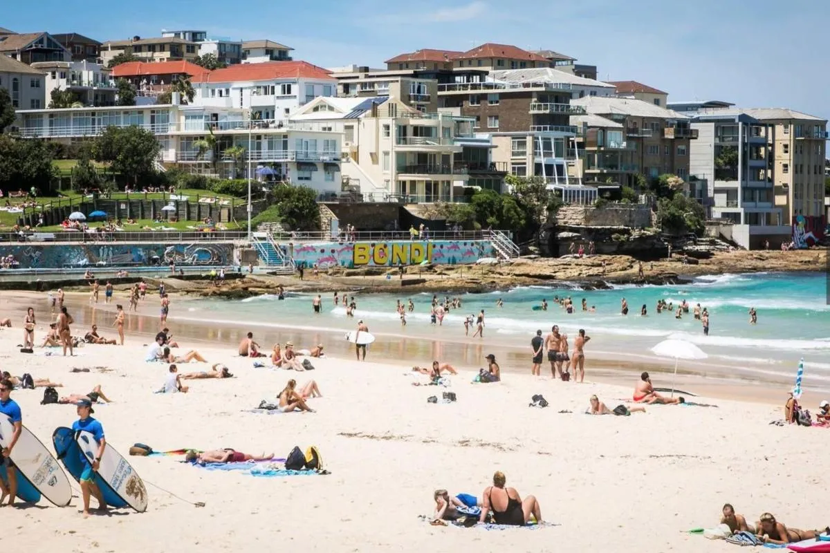 Image 5 of Stylish Sun Drenched North Bondi Beach Oasis