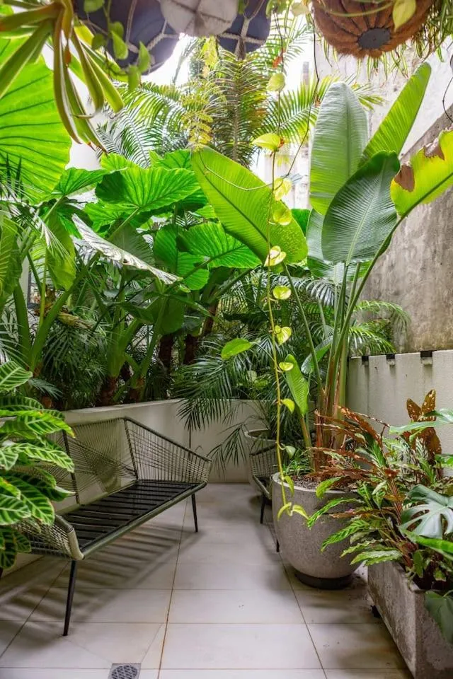 Image 5 of The Green Haven – Lush Industrial Chic Living