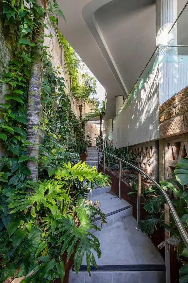 Image 5 of The Grove – Explore Sydney Harbourside Living