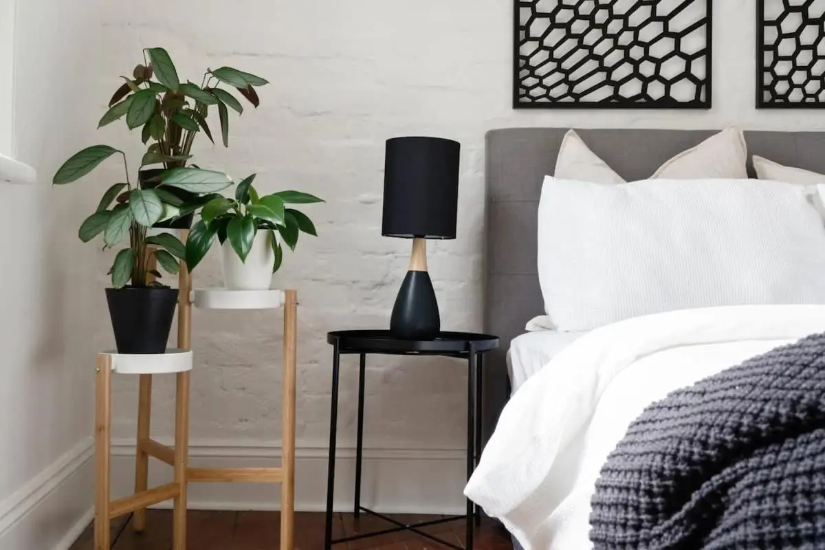 Image 6 of Perfect Laneway Terrace Surry Hills