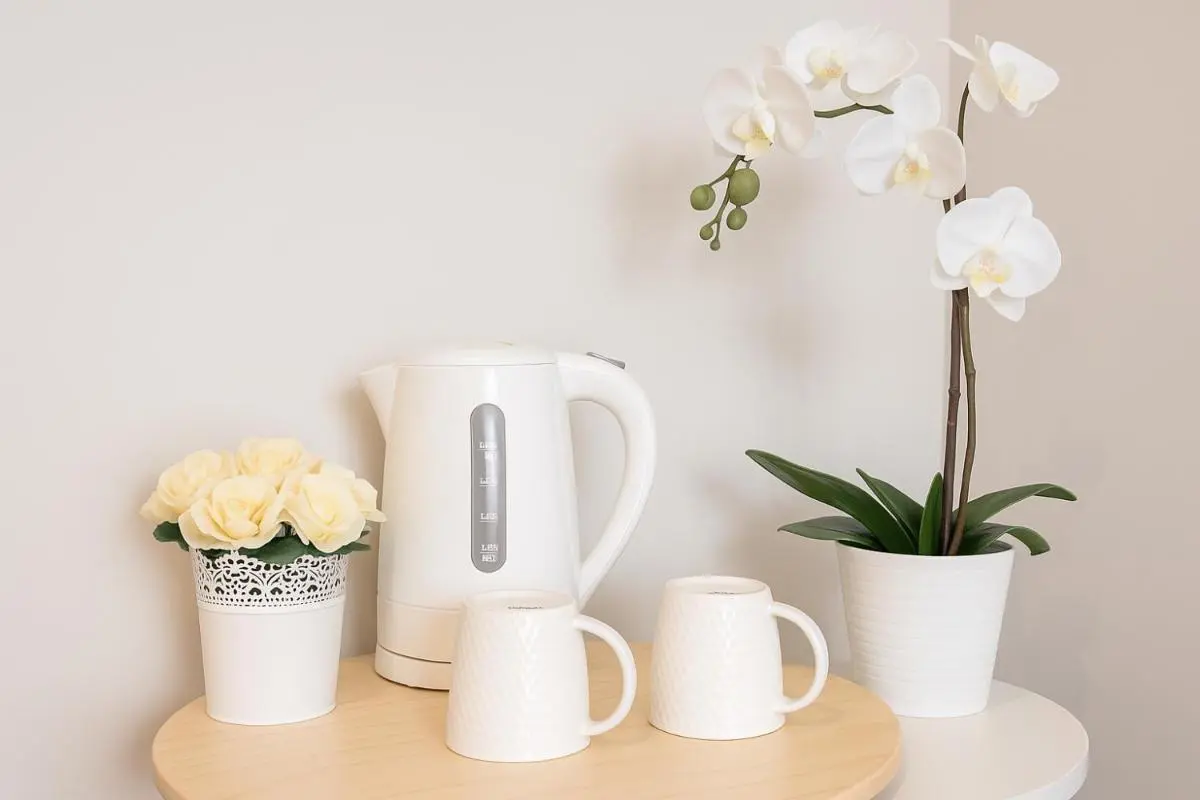 Image 6 of Private 2 Levels Ensuite Darling Harbour ICC