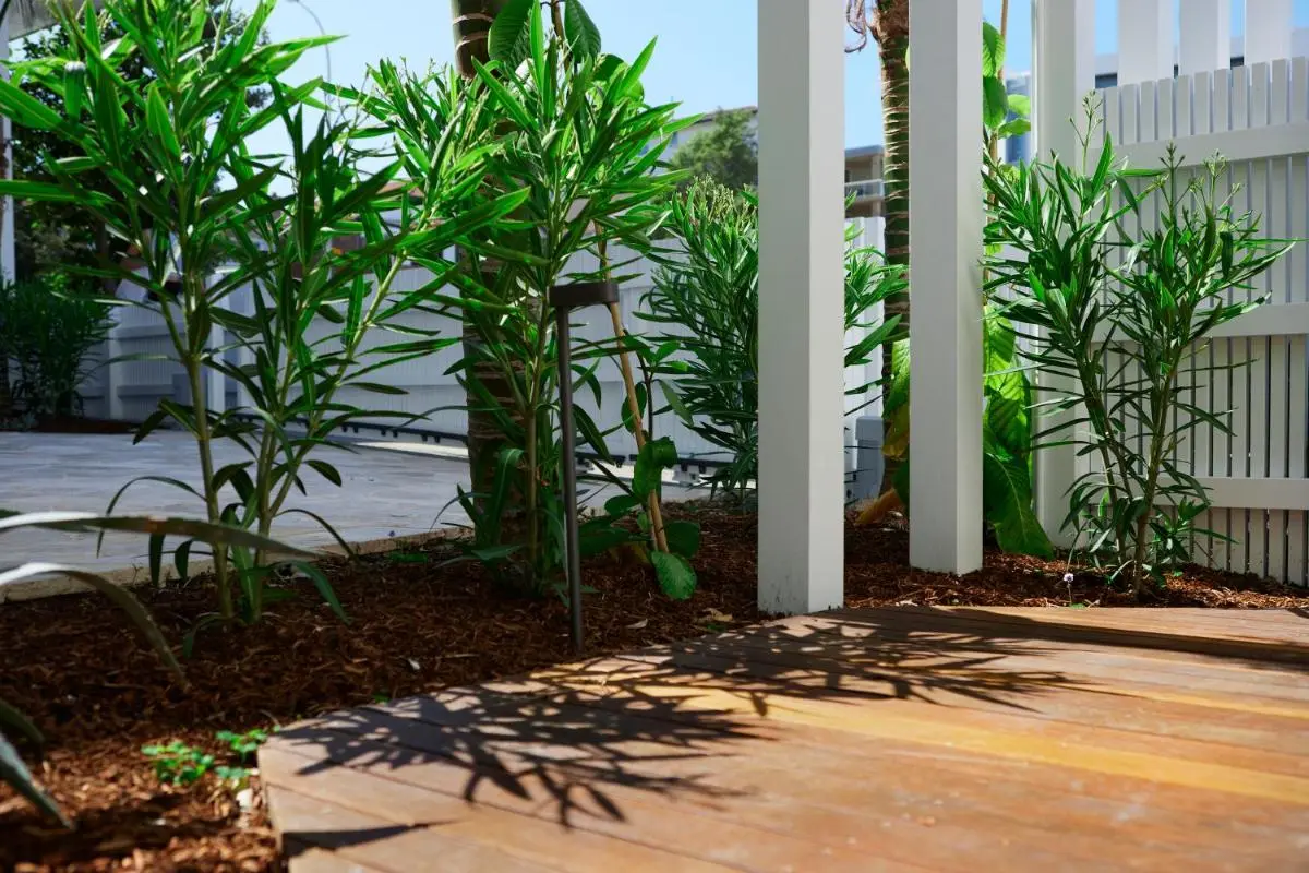 Image 5 of The Bungalows at Bondi Prime 12