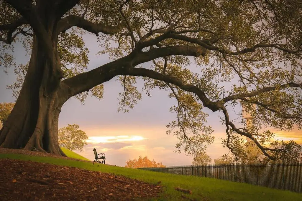 Image of Waterview terrace in rock
