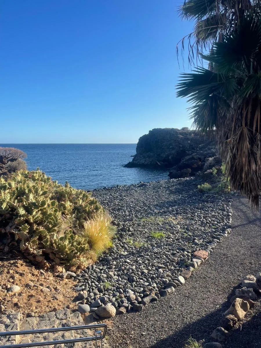 Image 6 of Barista Homes