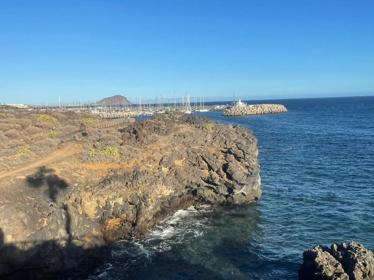 Image 5 of Barista Homes