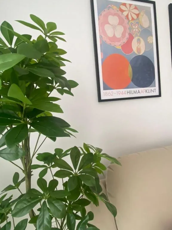 Image 4 of Bonitos atardeceres sobre Los Cristianos