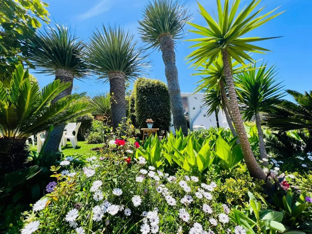 Image 3 of CASA LAZARO, TEGUESTE