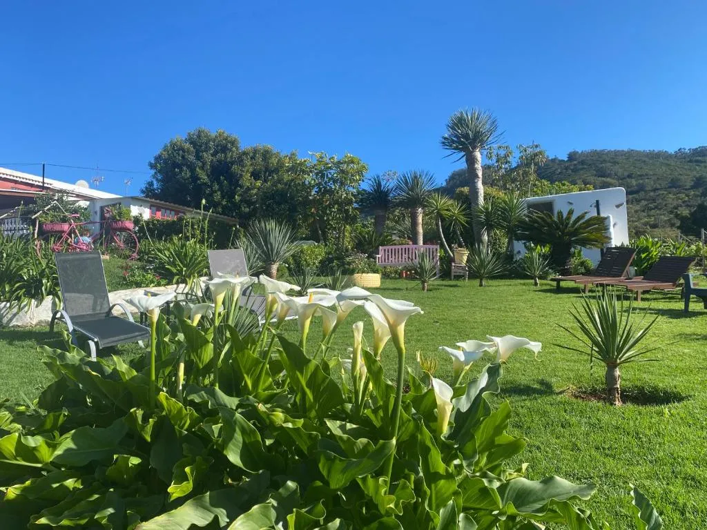 Image 2 of CASA LAZARO, TEGUESTE