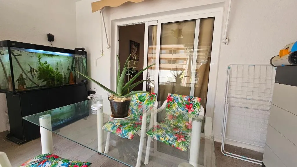 Image 4 of Callao Sun & Pool