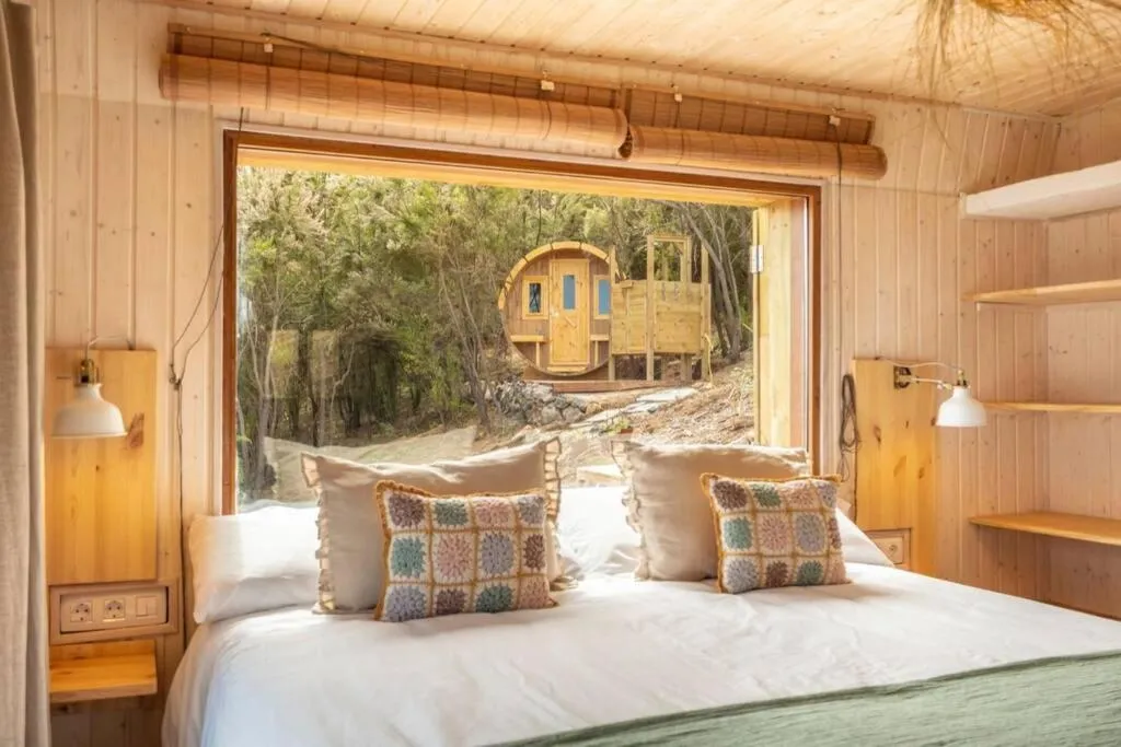 Image of El Pino Centenario 3