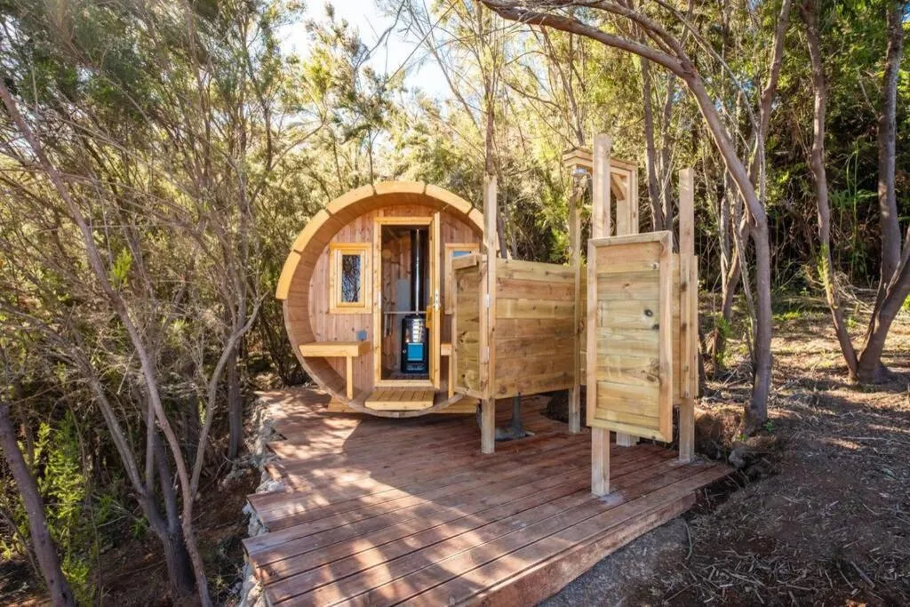 Image 5 of El Pino Centenario 3