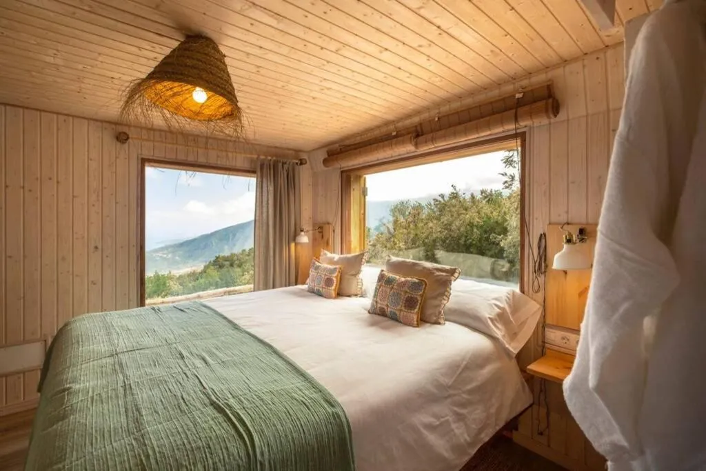 Image 1 of El Pino Centenario 3