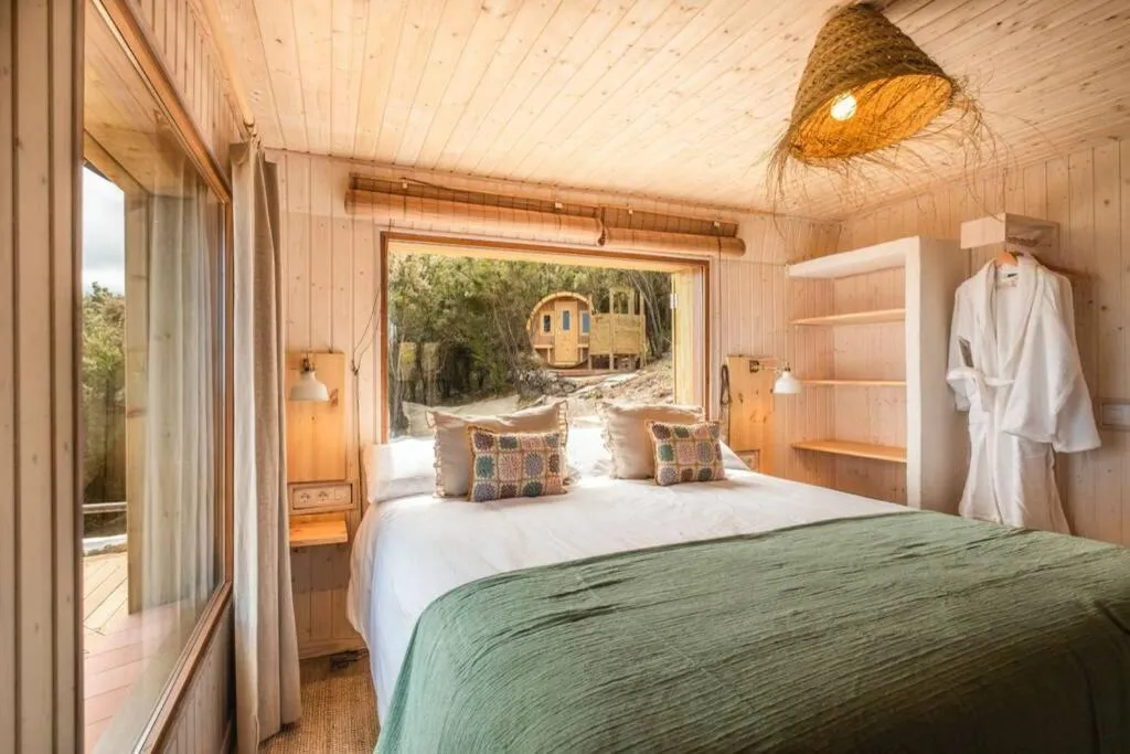 Image 6 of El Pino Centenario 3