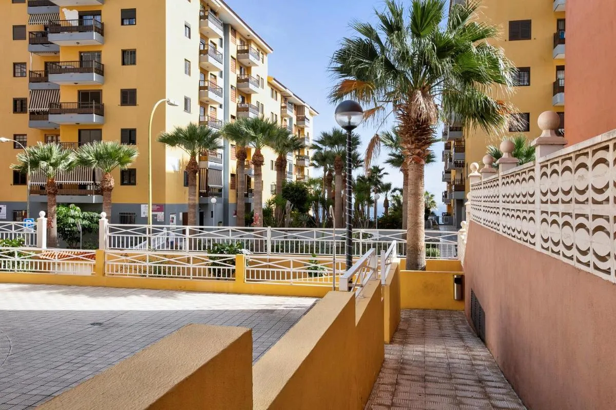 Image 6 of El Pisito de Momo