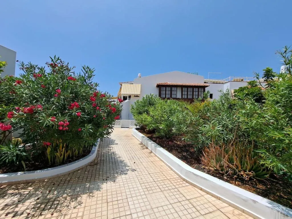 Image 2 of Heated Pool Costa Adeje in front of a beach