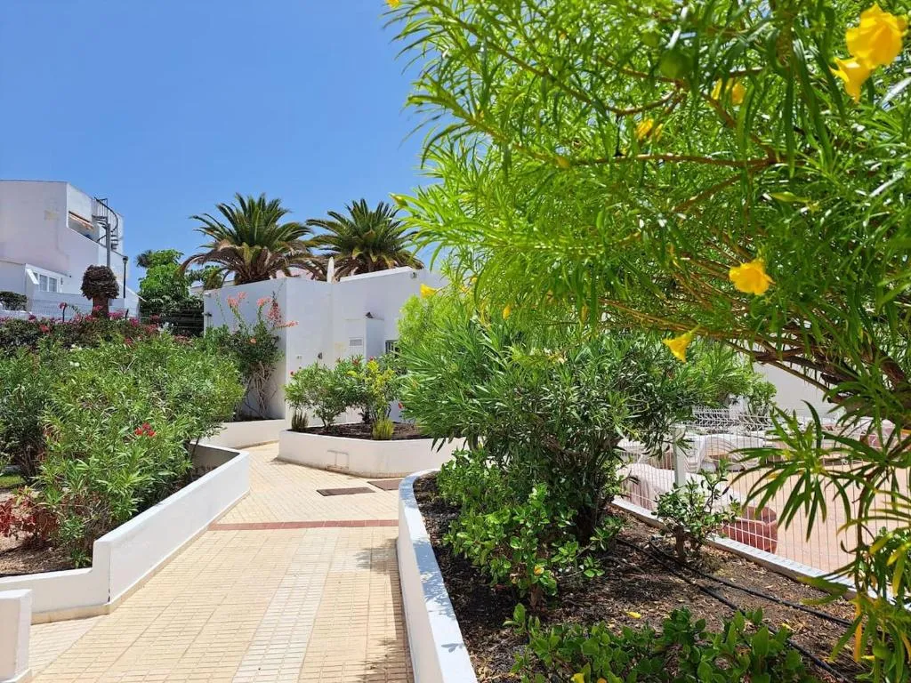 Image 4 of Heated Pool Costa Adeje in front of a beach