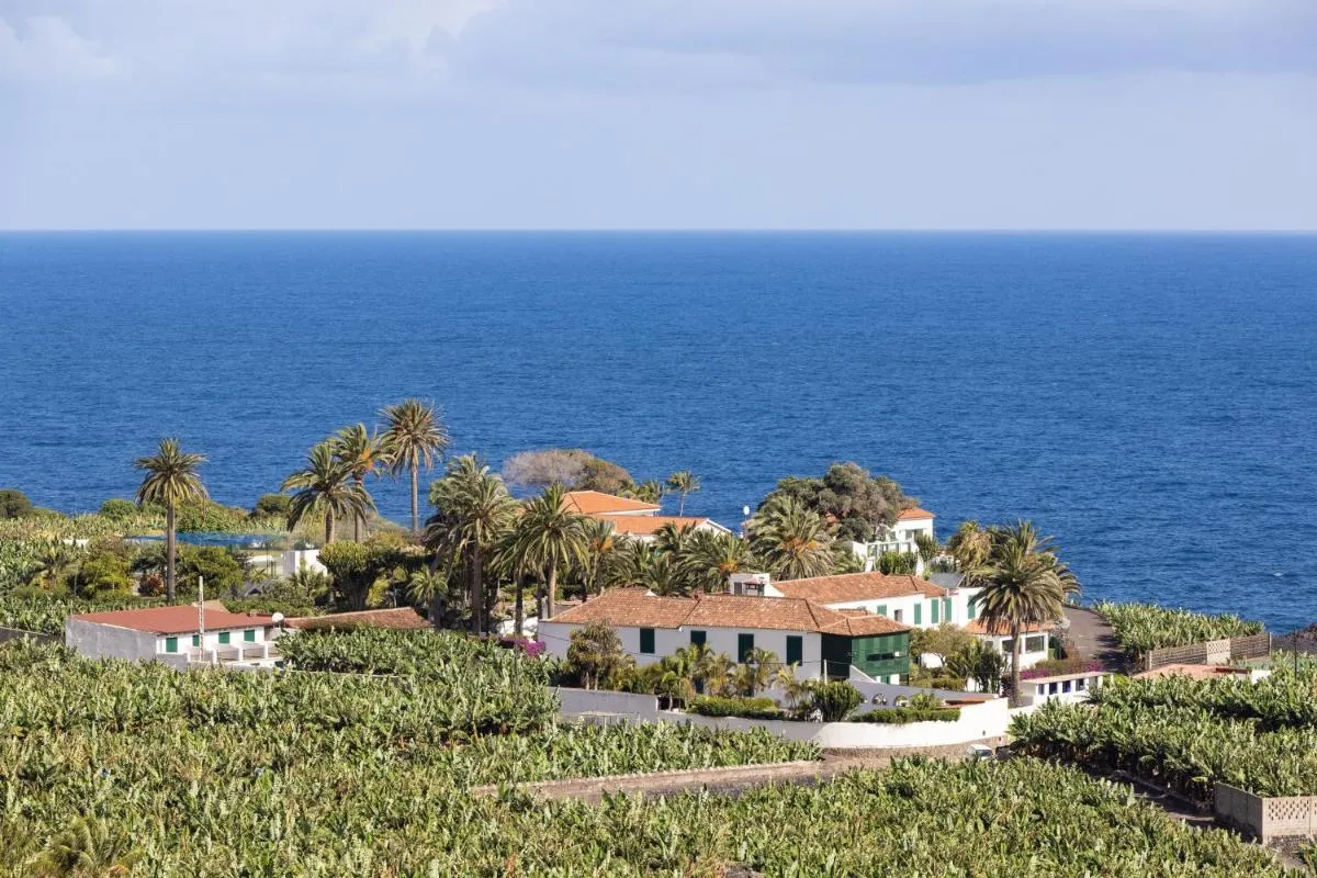 Image 2 of Hotel El Patio