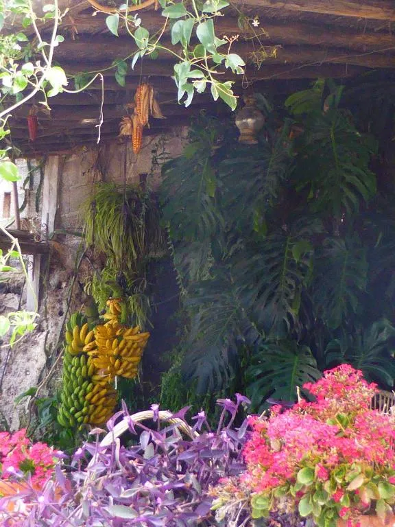 Image 6 of Hotel Rural El Navío – Adults Only