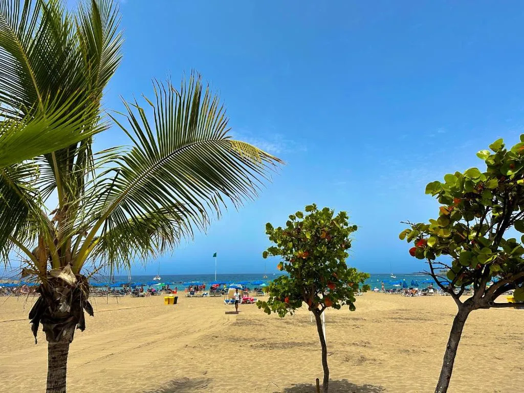 Image 4 of Juan XXIII