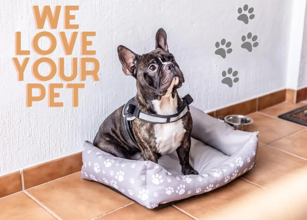 Image 6 of Mambo Palm-Mar apartment