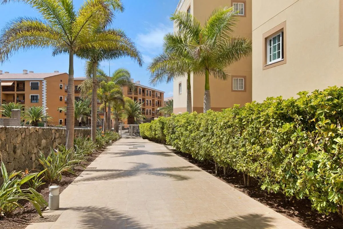 Image 6 of Palmar D10