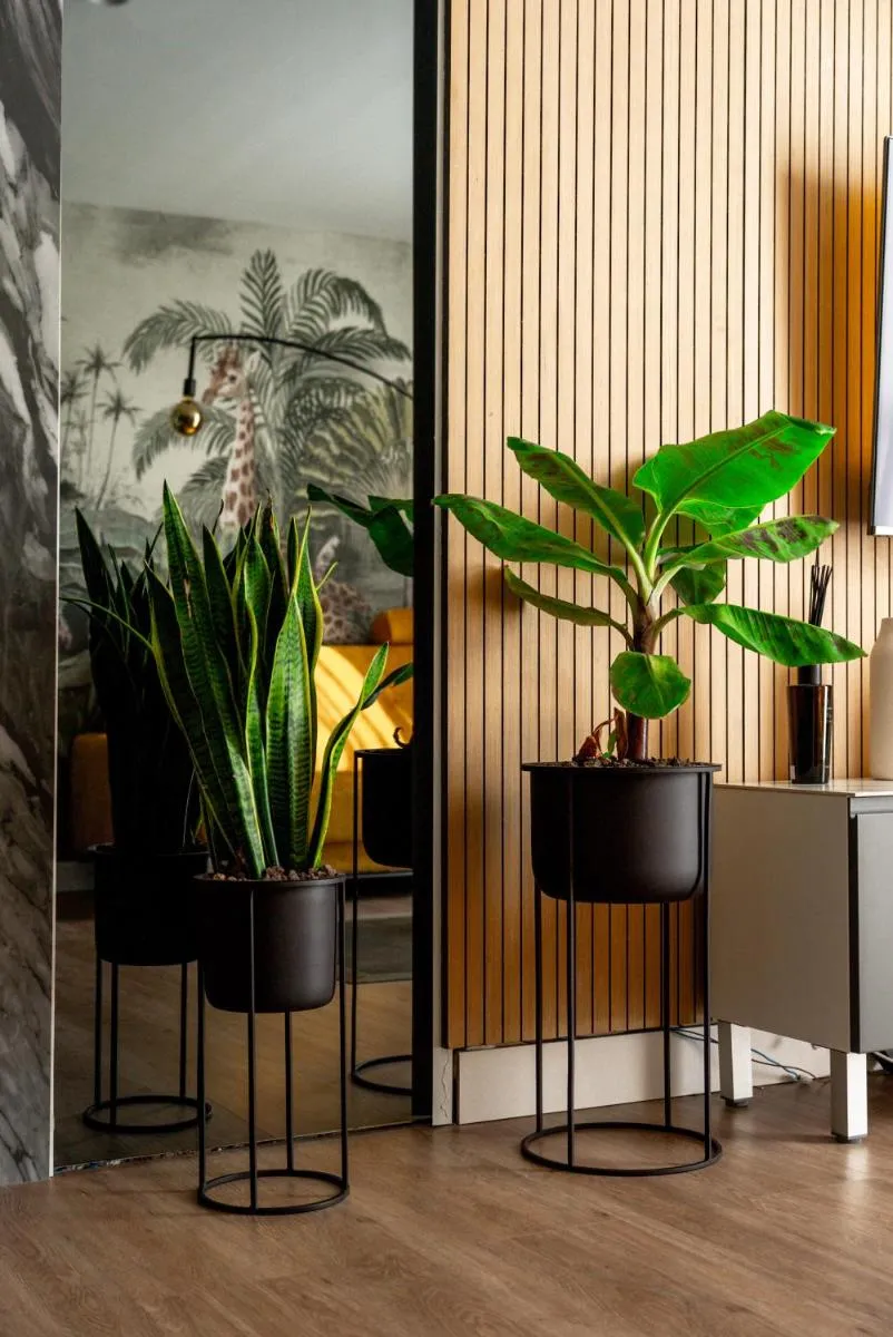 Image 6 of Super Luxury Apartment Ocean View Las Americas Costa Adeje