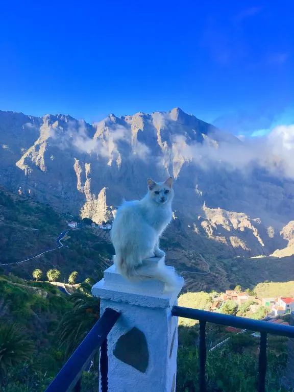 Image 6 of Sweet Home Masca