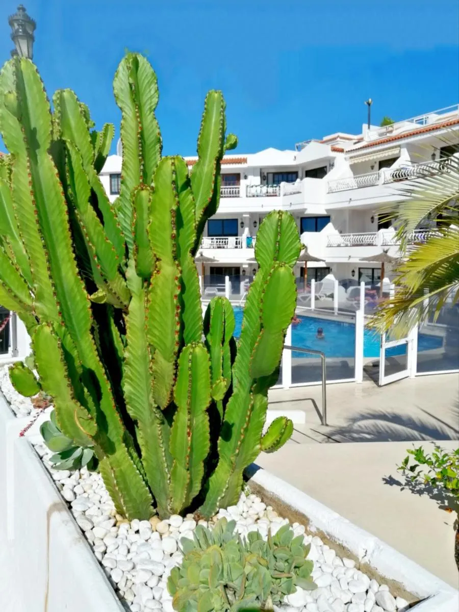 Image 6 of Aguamarina Apartment – Los Diamantes 2