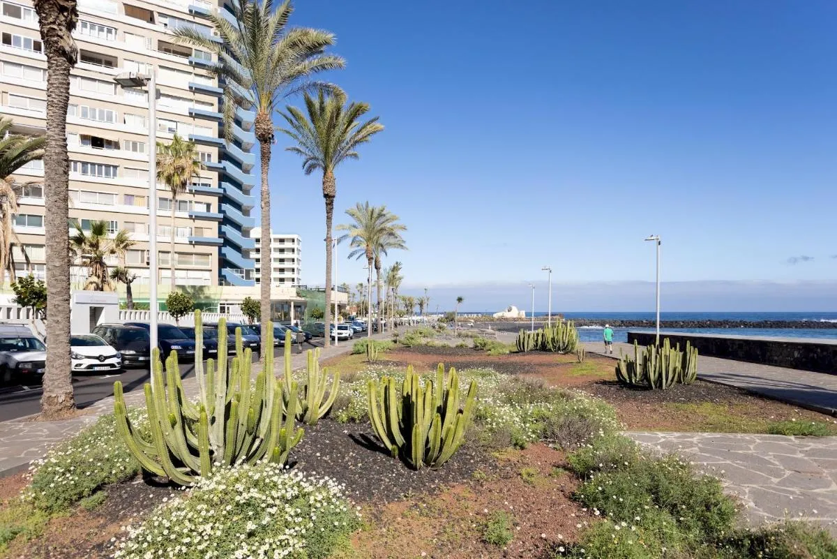 Image 6 of Apartamento Atardecer Martianez