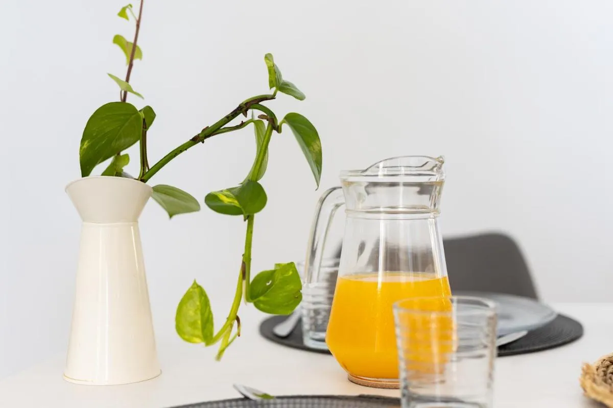 Image 2 of Apartamento Natural Ocean Pool