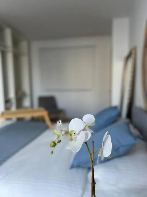 Image 3 of Apartamento Sueño del Drago