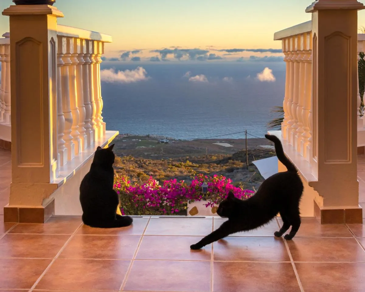 Image 5 of CASANTILVIA heated pool paradise