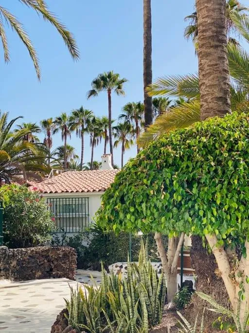 Image 6 of Calima house