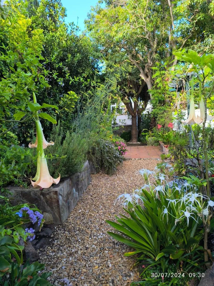 Image 6 of Casa Flora Garden Studio (Gite)