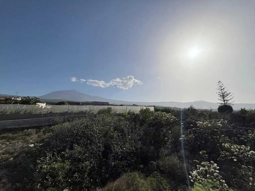 Image of Casa Mannheim