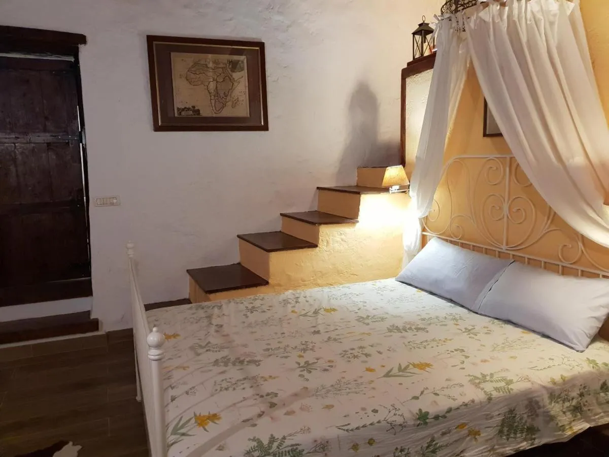 Image 6 of Casa Palmera – Private Paradise