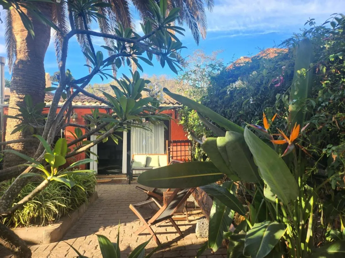 Image 5 of Casa Palmera – Private Paradise